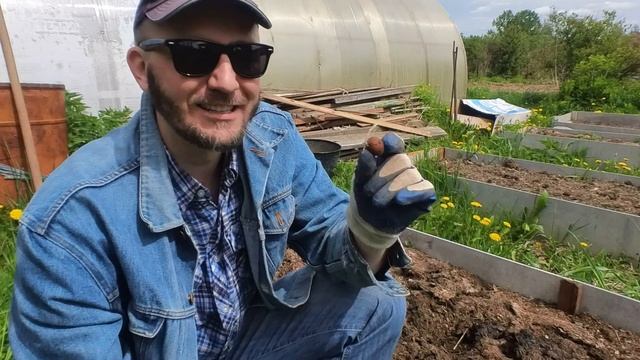 Показываю простой способ как посадить БРЮССЕЛЬСКУЮ КАПУСТУ? смотреть онлайн