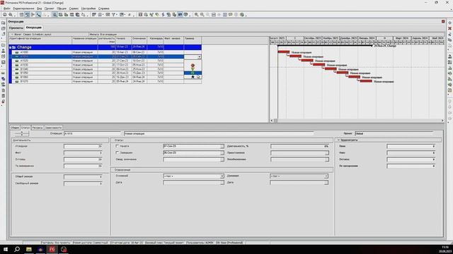 Управление проектами с Primavera P6: Пользовательские поля в действии