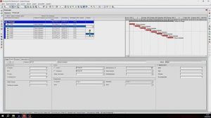 Управление проектами с Primavera P6: Пользовательские поля в действии