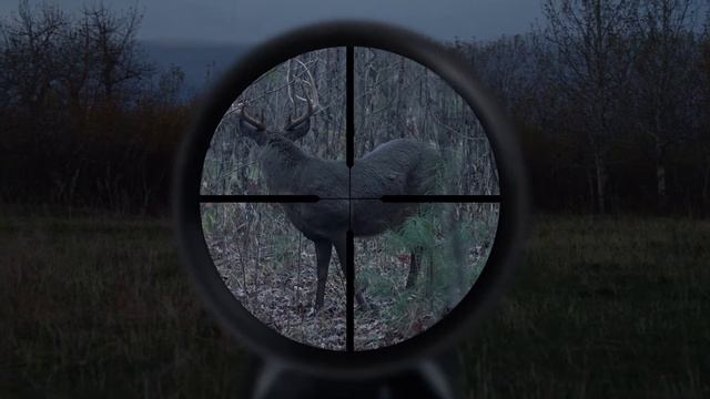Leupold Spot смотреть онлайн
