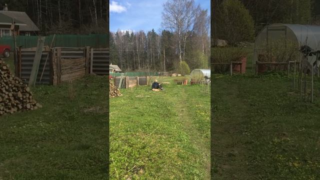 Птички поют, Яша дома, Жулька на участке