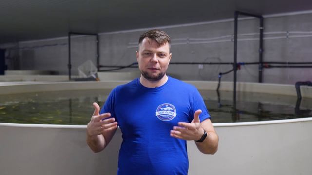 Тиляпии и карпы Кои - совместное содержание смотреть онлайн