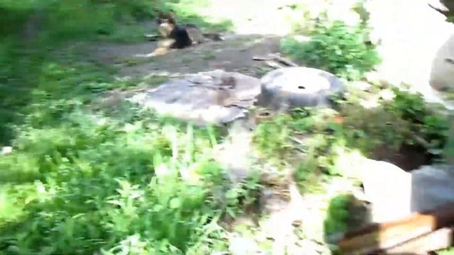 выживание Харьковская область! Украина смотреть онлайн