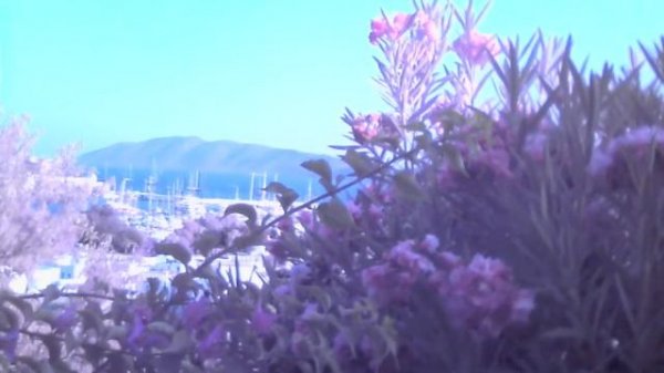 Всем Доброго Вечера / ОТВЕЧАЮ НА ВАШИ ВОПРОСЫ - Эфир / самир али / обряды samir ali