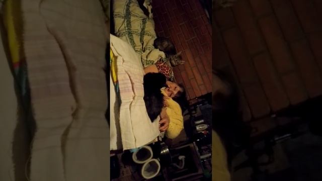мама деревня собаки кошки свой дом печка история смотреть онлайн