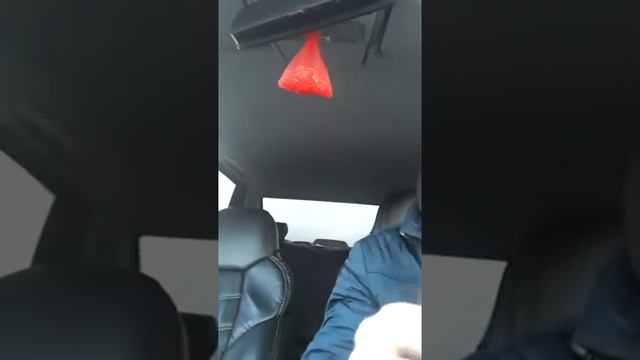 Абу Молик смотреть онлайн