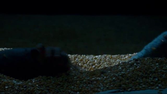 Тихое место (A Quiet Place) 2018 мнение смотреть онлайн
