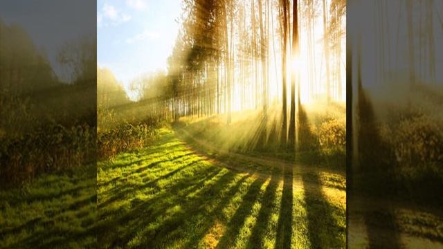 Black Forest Enchantment смотреть онлайн