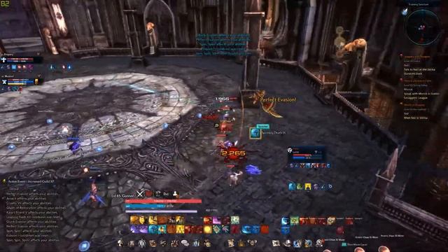 Tera EU: Valkyrie Champion's Skyring "Premade" - 9 смотреть онлайн