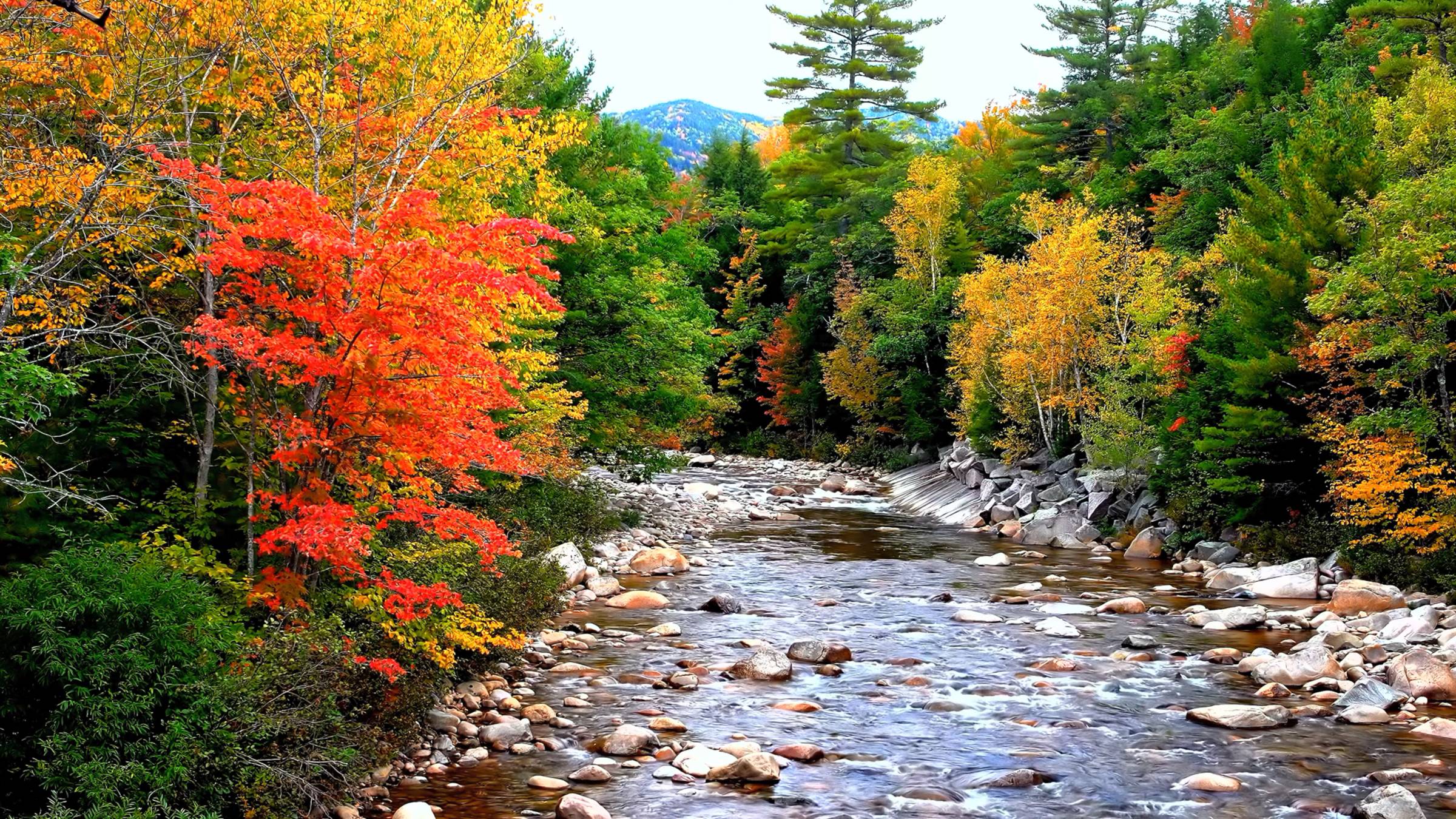 Исследуем скрытые жемчужины природы в формате 4K HDR 60 кадров в секунду Dolby Vision смотреть онлайн