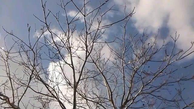 Relax - под великолепного Моцарта смотреть онлайн