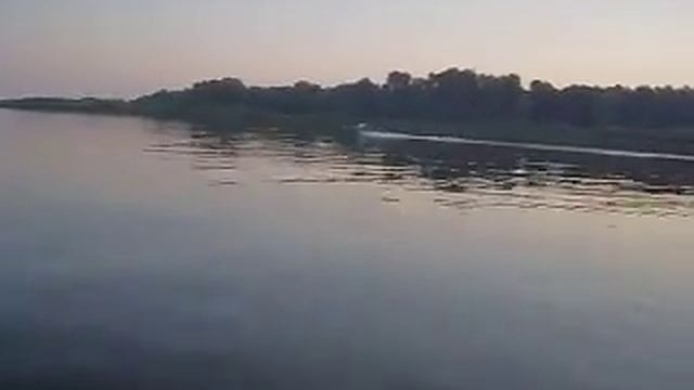 SDC11559.AVI смотреть онлайн