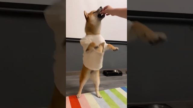 10 января 2023 г.