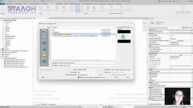 [Курс «Revit. Базовый курс»] Импорт САПР смотреть онлайн