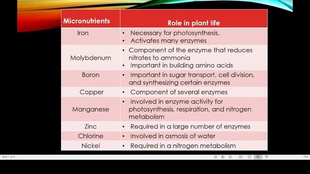 8.Mineral Nutrients In Plants|Role Of Nitrogen And Magnesium|Fertilizers|Nutrition Class 9th Biolog смотреть онлайн