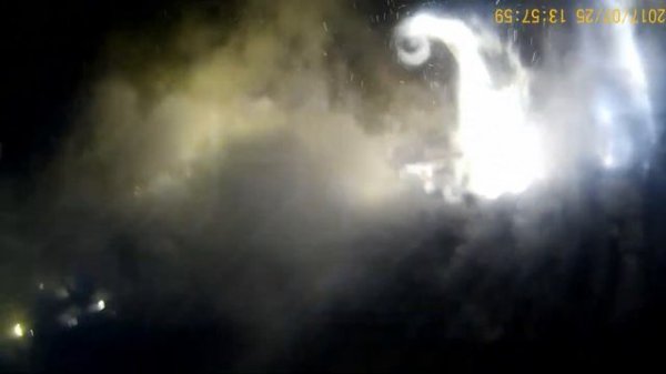 люди фениксы