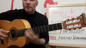 Михаил Круг.Фраер.Разбор на гитаре #разборпесен #урокигитары #guitar #guitarlesson
