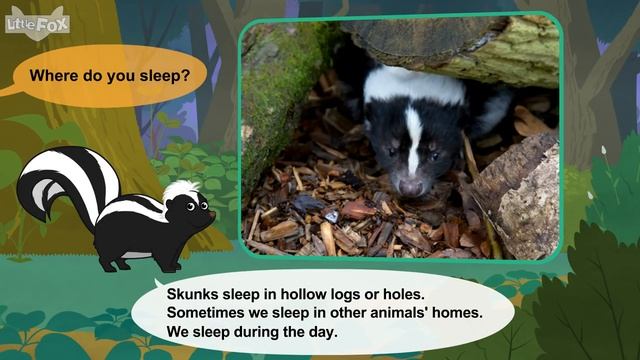 Meet the Animals 32_ Skunk _ Level 2 _ By Little Fox смотреть онлайн