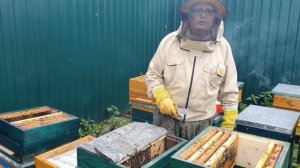 ДИАФРАГМА ДЮКАРЕВЫХ РУЛИТ, СУПЕР ПОКАЗАТЕЛИ.