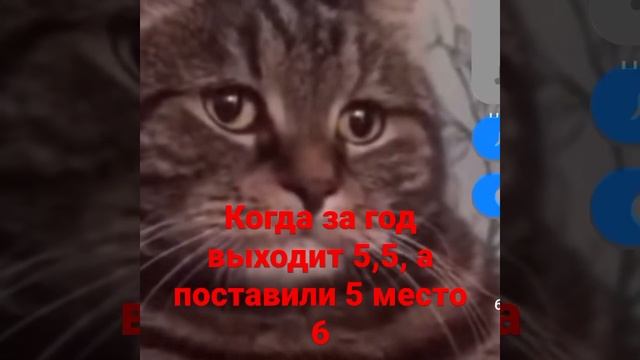 #прикол #приколы2022 #песня #грустныеистории #животные #жизнь #класс #школа #грусть #кот