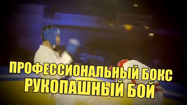 В Челябинске пройдет грандиозный турнир по единоборствам смотреть онлайн