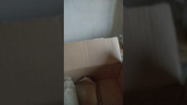 18 июня 2023 г. смотреть онлайн