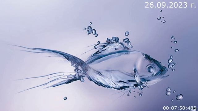 792 Чистота 26.09.2023 г смотреть онлайн