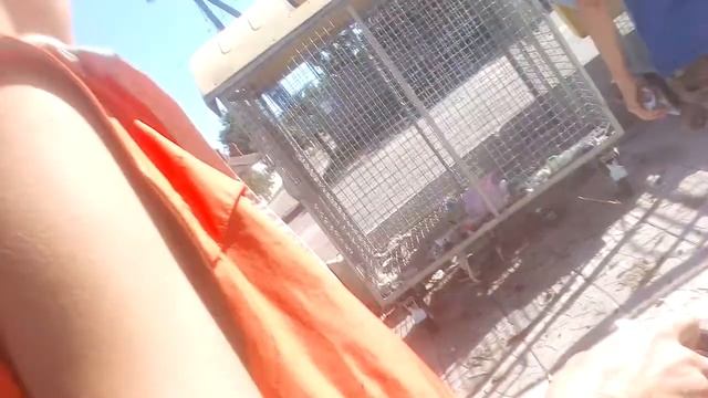 Уек(19) смотреть онлайн