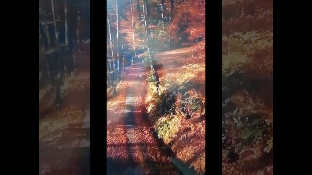 Lv_0_20241224200900.mp4