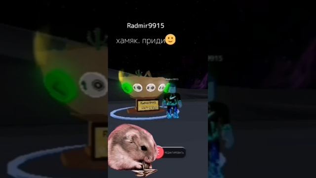 хочу штобы это видиё увидил хома🐹 смотреть онлайн