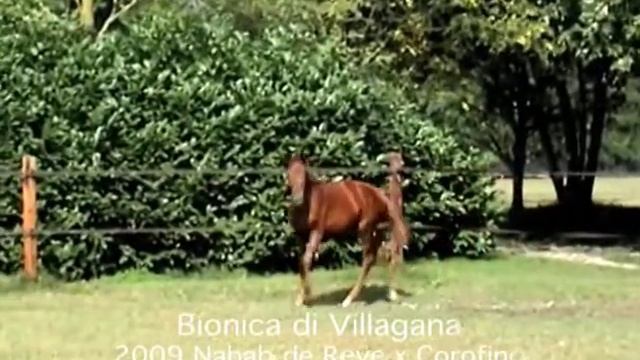 Bionica di Villagana смотреть онлайн