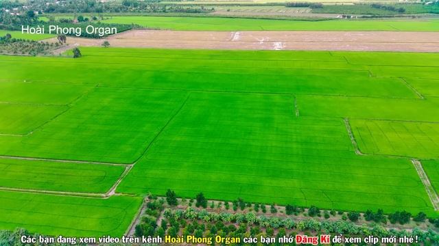 Chuyện Tình Lan Và Điệp Karaoke Vọng Cổ Song Ca | Hoài Phong Organ смотреть онлайн