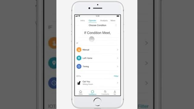 CatYou -- A Remote Cat Caring System By IoT Technology