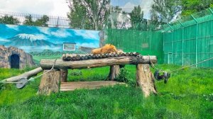 Алматы ,Казахстан.2023, Май