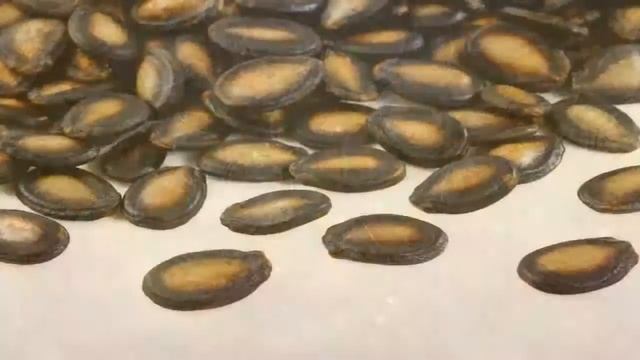 10 Reasons Why You Shouldn’t Throw Away The Watermelon Seeds - Amazing