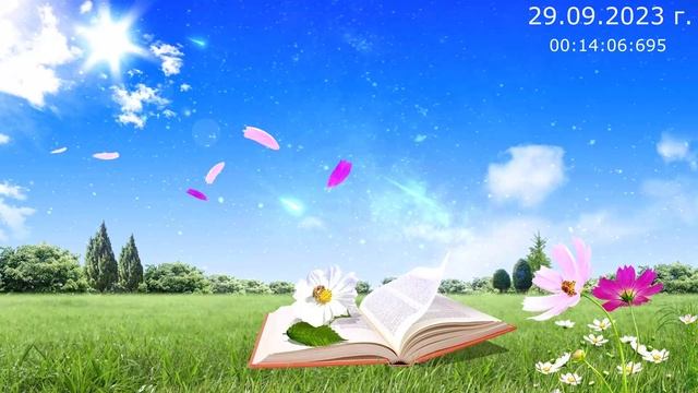 793 О вопросах 29.09.2023 г смотреть онлайн