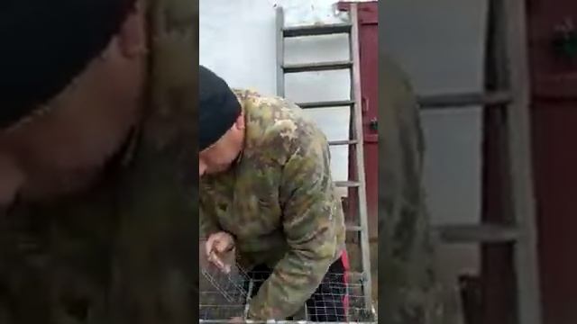 Одесский турман смотреть онлайн