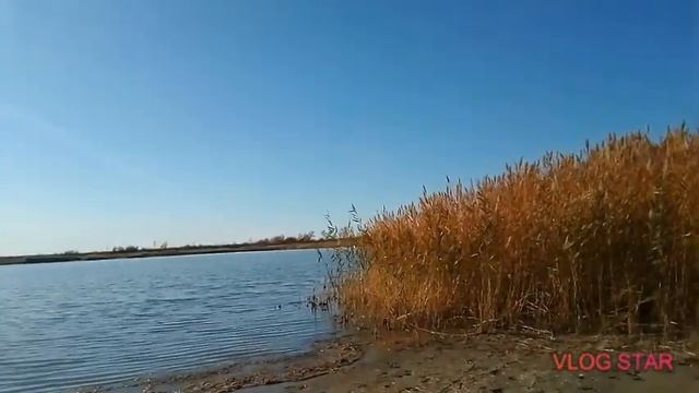 Дамба.Колхоз 30 лет КазССР смотреть онлайн