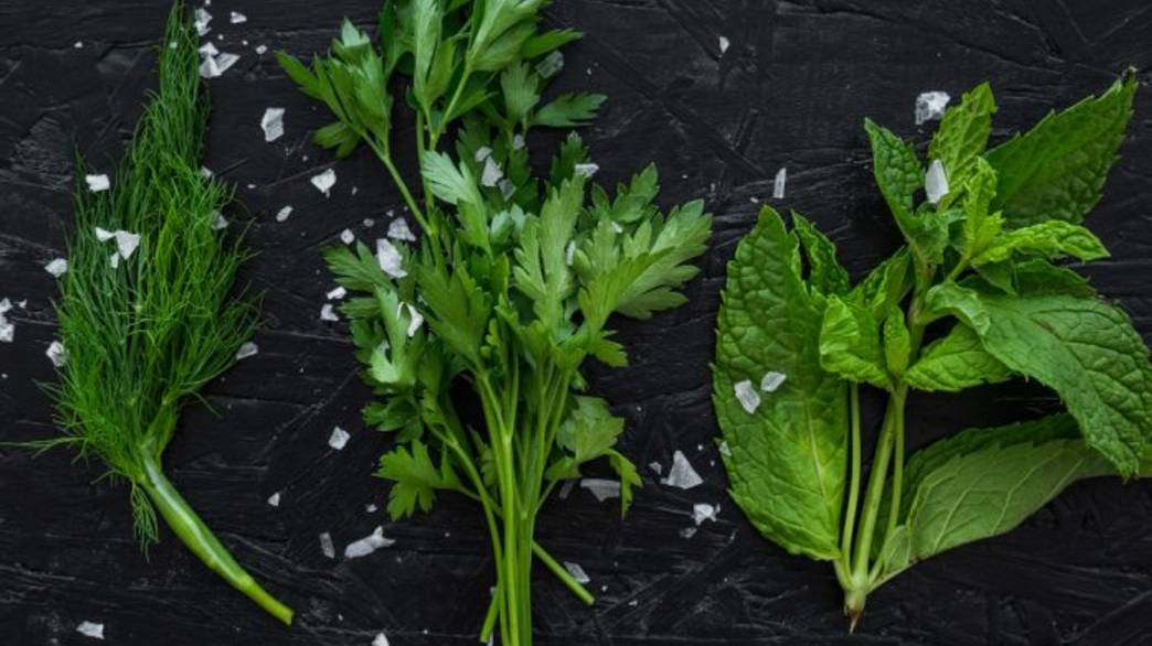 Биология: части стебля. Удивительный мир растений смотреть онлайн