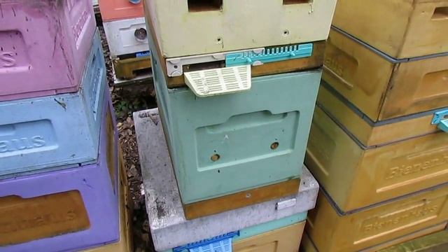 наращивание пчел в зиму в октябре, что было в сентябре, что стало в декабре, обновление 24.12.2024 смотреть онлайн