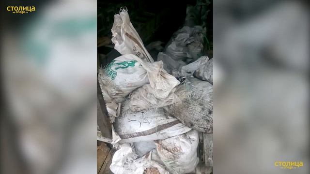 Умирающая звероферма в Карелии смотреть онлайн