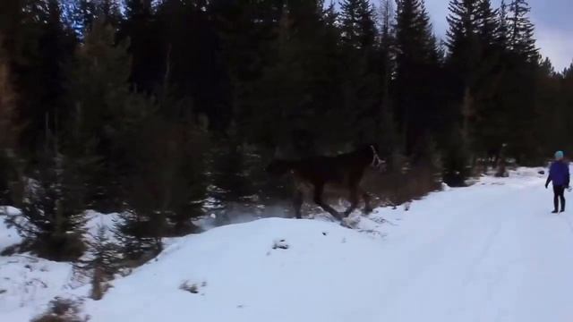 ❄️Зима 2019-2020❄️ смотреть онлайн