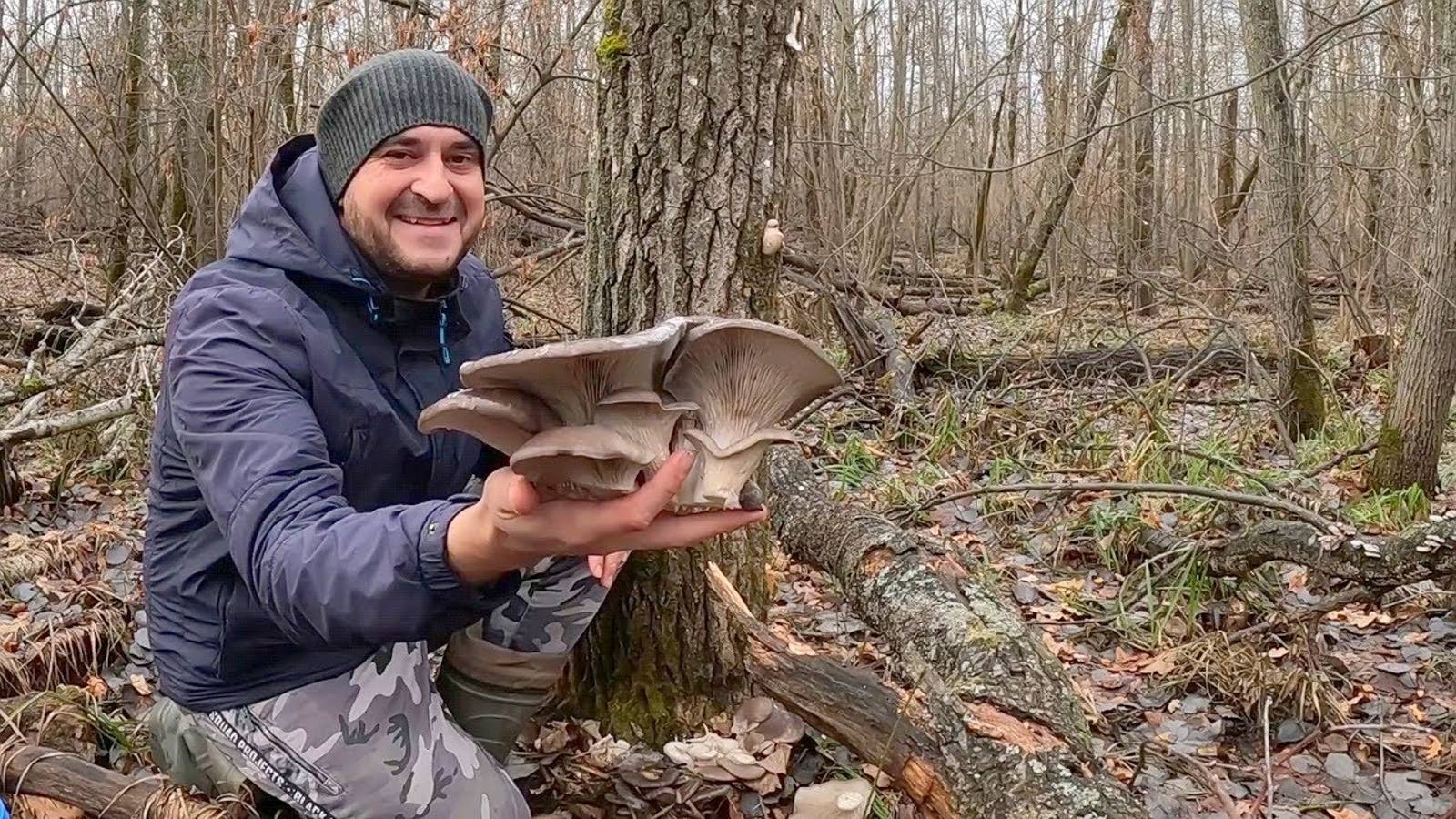 НА ДВОРЕ ЗИМА, А ГРИБОВ НЕМЕРЕНО!!! Самый удачный сбор грибов смотреть онлайн
