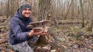 НА ДВОРЕ ЗИМА, А ГРИБОВ НЕМЕРЕНО!!! Самый удачный сбор грибов