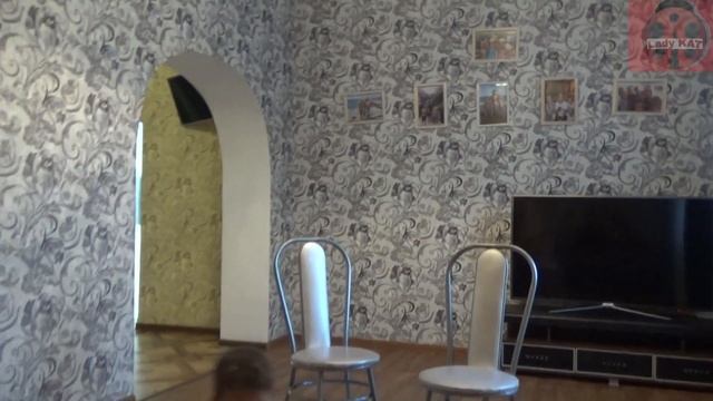 КАТЯ и ВАНЯ устроили ЦИРК дома.  ДЕТИ ИГРАЮТ