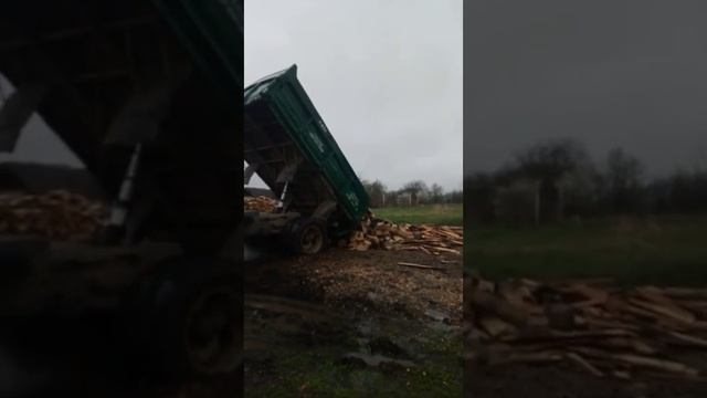 ГАЗ 53 и Газель в роботе (поездка Сони на страусиную ферму ) смотреть онлайн