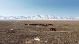 Казахстан (2023)