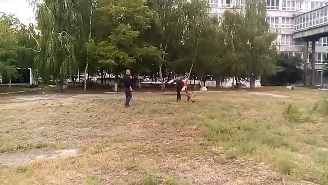 VID 20170831 135405 смотреть онлайн