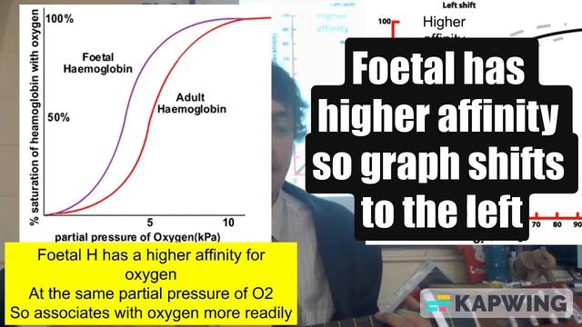 Oxygen Dissociation Curve Shift Song (A Level)