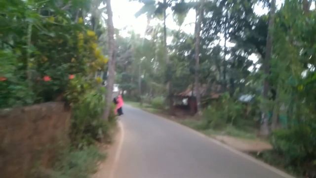 Vlog GOA. 27 января 2021 г. С вами Лена из Кепема, еще будут лошади и всего понемножку. смотреть онлайн